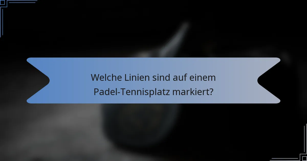Welche Linien sind auf einem Padel-Tennisplatz markiert?